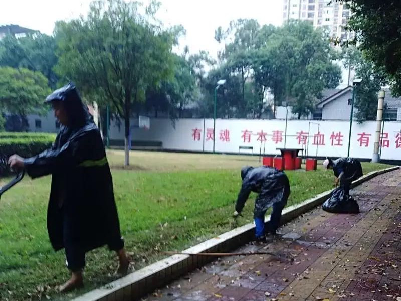 無懼風雨，信泰為您守護