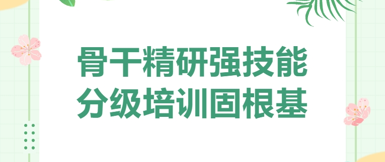 骨干精研強技能 分級培訓固根基